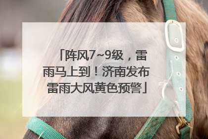 阵风7~9级，雷雨马上到！济南发布雷雨大风黄色预警